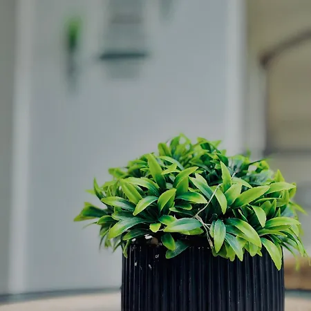 Apartmán Dreams Apart&free Parking Sozopol