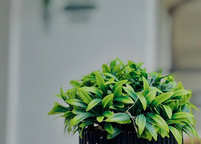 Апартамент Dreams Apart&free Parking Созопол